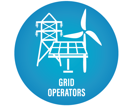 Energy Storage Systems for Grid Operators